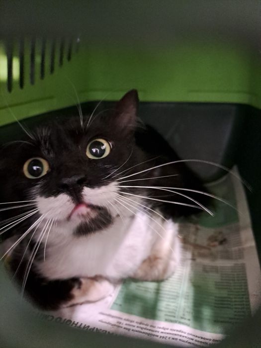 Ніхто не шукає? Хлопчик.