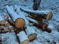 Лес кругляк сосна береза ольха осина .дрова