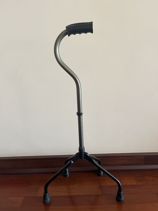 Andarilho Orthos XXI