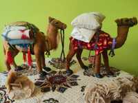 Wielbłądy z suku w Tunezji, zwierzątka, wakacje