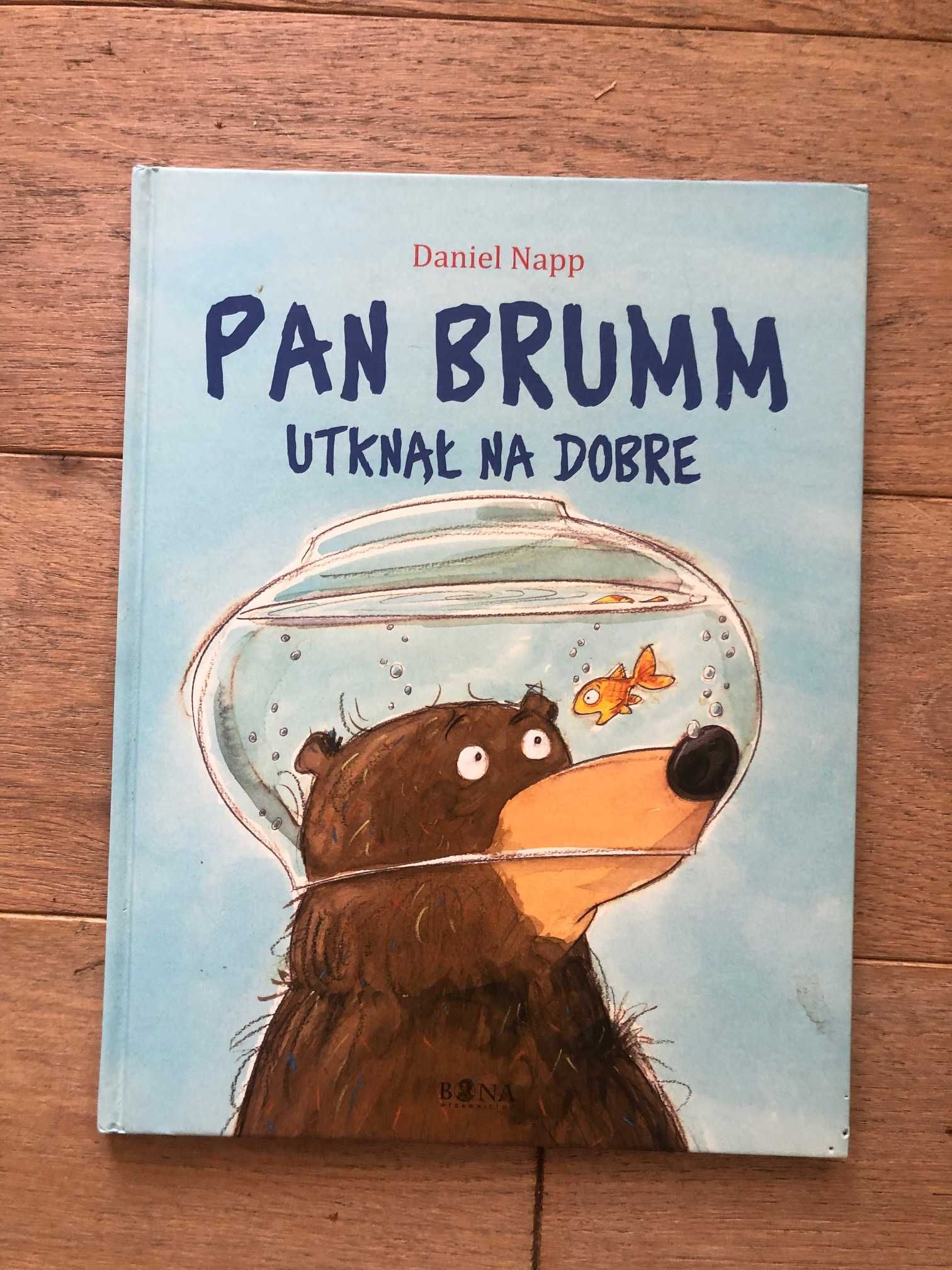Pan Brumm utknął na dobre Daniel Napp stan dobry
