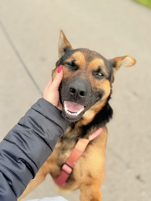 Cudowny Grześ święta chce spędzić w DOMU!