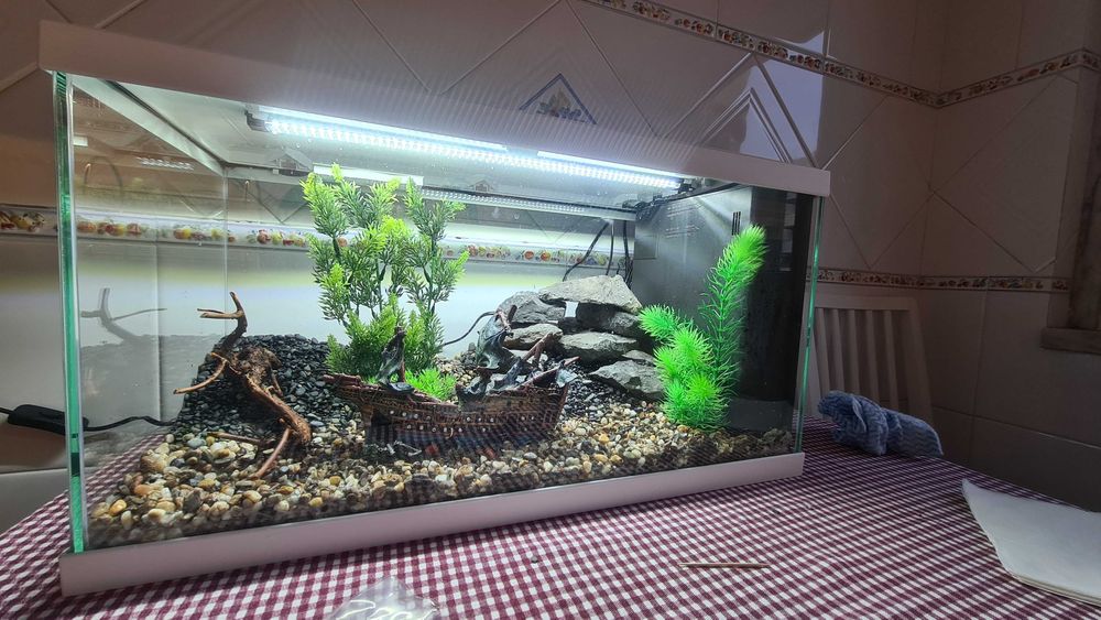 Vendo Aquário 60L com Armário