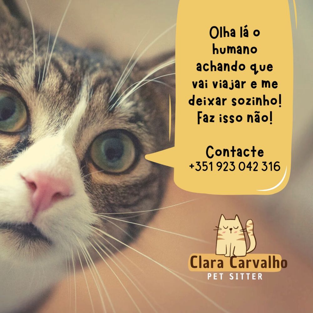 Pet sitter | dog walker | cuidadora de animais | passeio cães