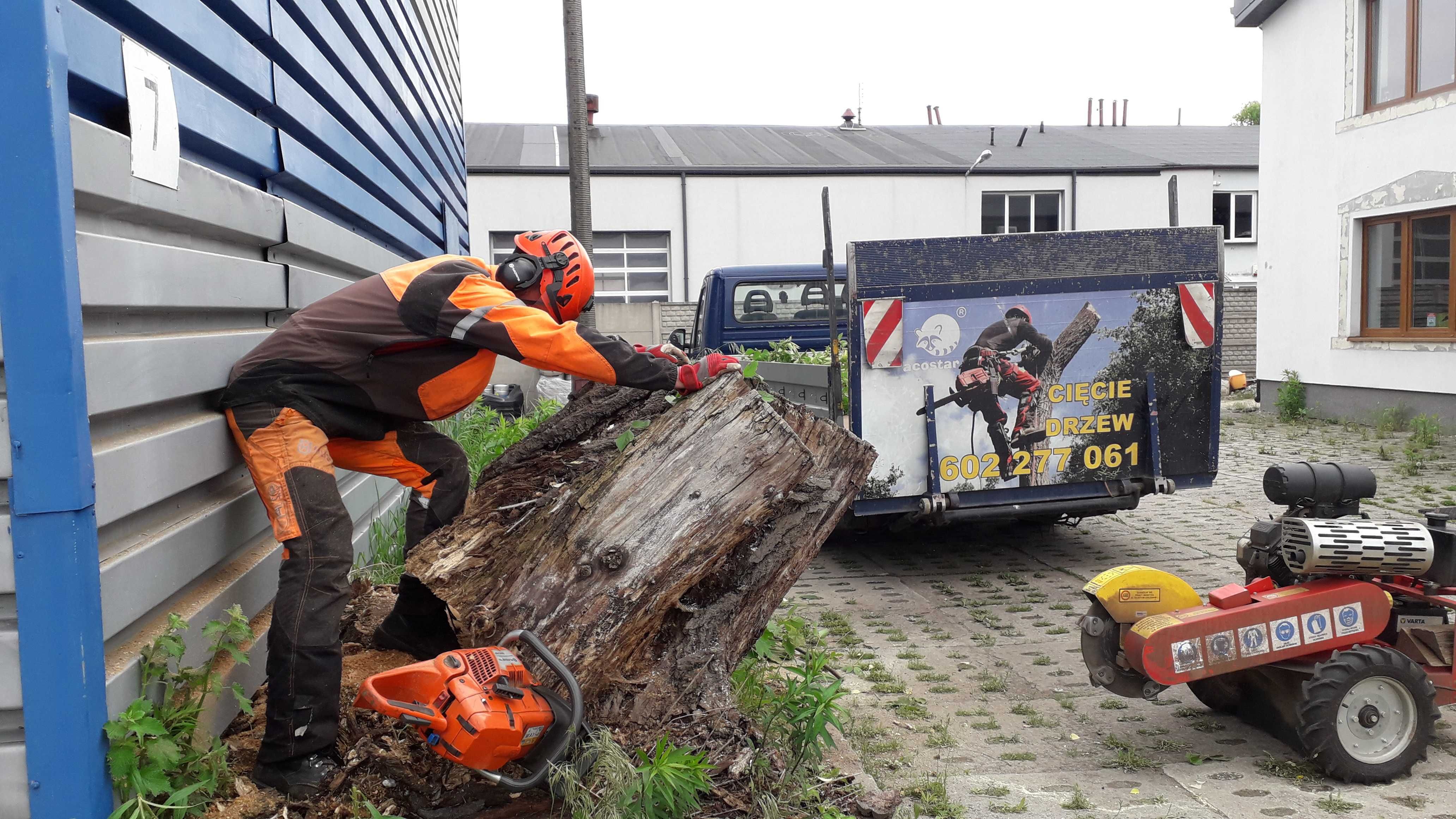 Usuwanie likwidowanie frezowanie karczowanie pni Łódź i okolice