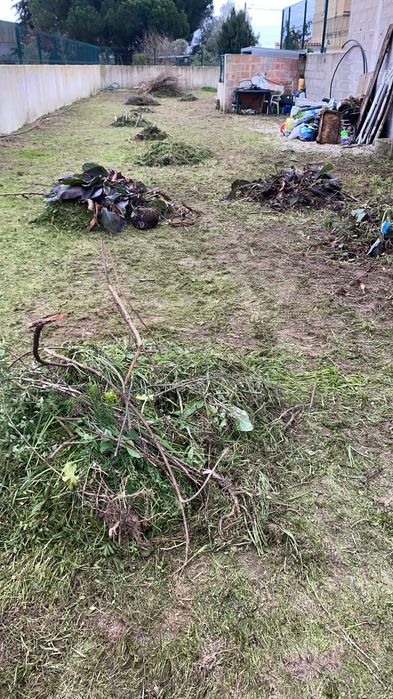 Transporte de entulho.