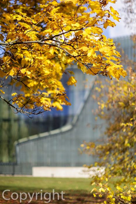 Canon 5d iii przebieg 205.077 w super stanie