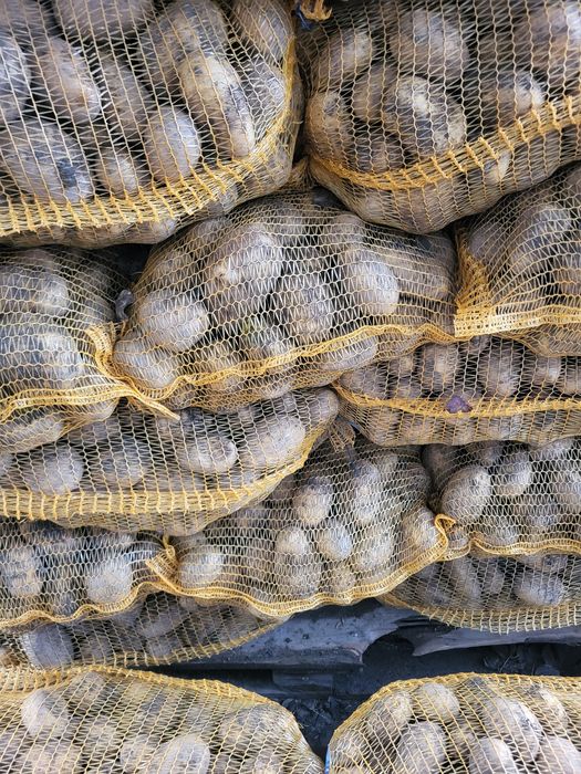 Ziemniaki 15kg Gospodarstwo Rodzinne