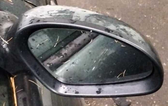 lusterko elektryczne Seat Toledo II Leon I