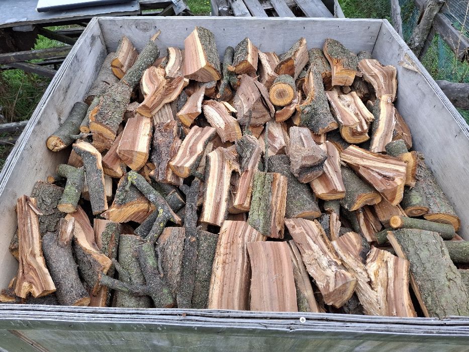 Drewno owocowe wiśnia do wędzenia, sucha