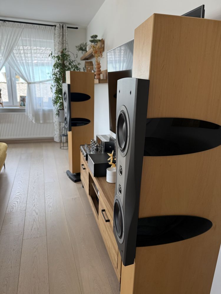 Dynaudio confidence c2