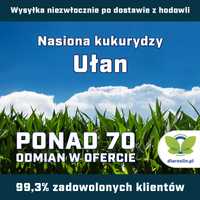 Kukurydza Ułan F1, C1, opak. 50 tys.nas. + zap. OptiPlus dlaroslin.pl