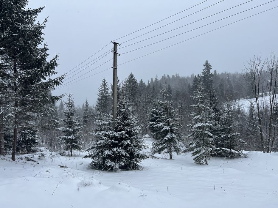 Продам зимельну ділянку в Карпатах