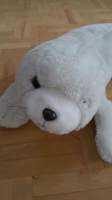 maskotka duża foka biała foczka misiek prezent przytulanka hit
