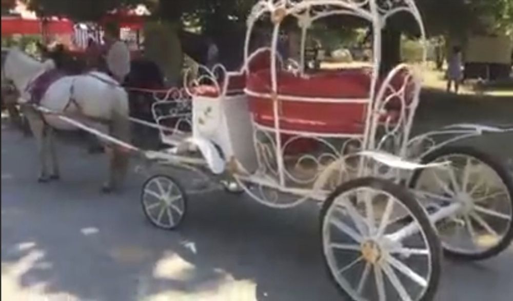 Продам карету для поні "попелюшка" . Карета  для лошади