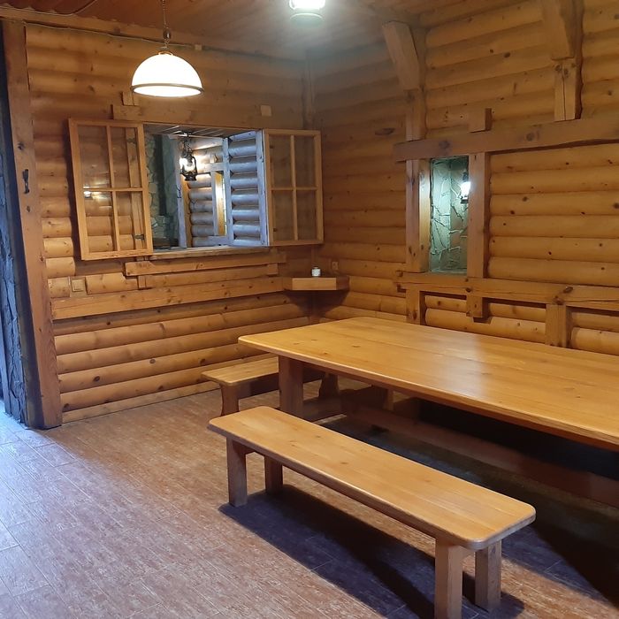 Дом с бизнесом действующим