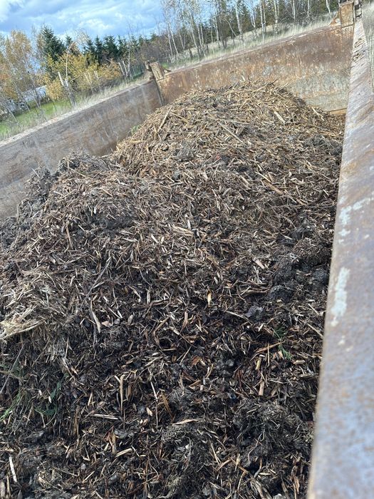 Zrębki z drzew okolo 3m3 kubiki przywioze Za darmo