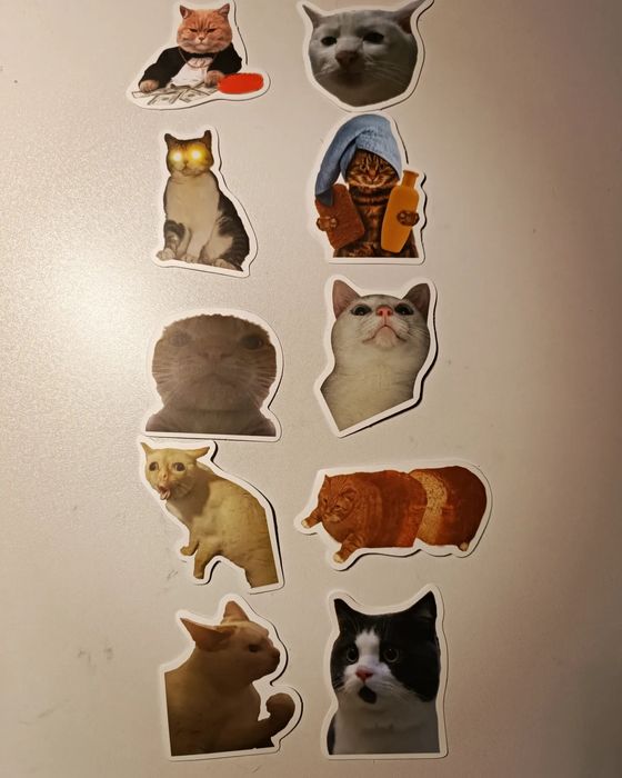 Наліпки котики мемчики
