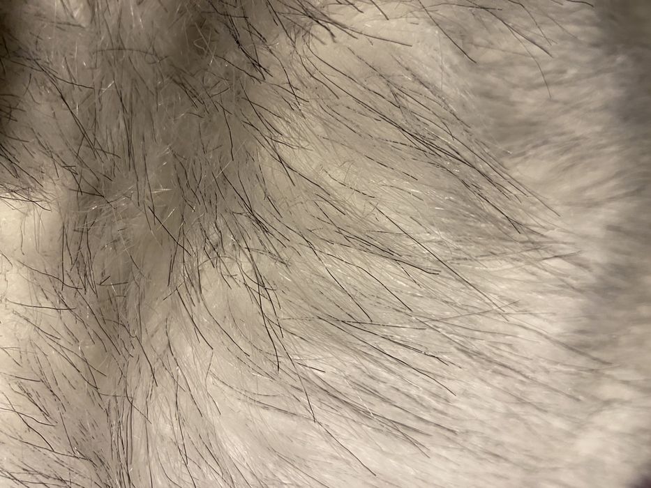 Futro sztuczne włos 60mm białe biały srebrny tkanina