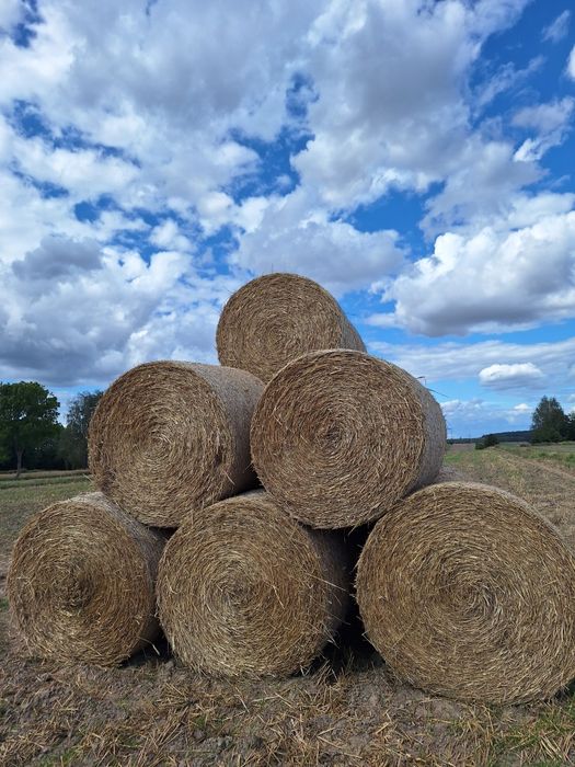 Sprzedam słome z 2025 roku