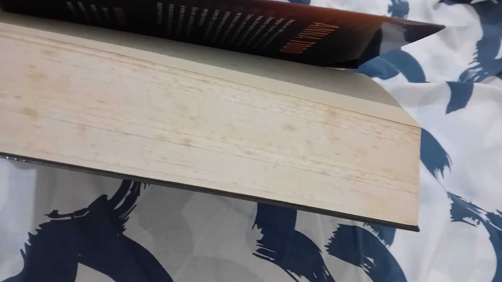 Livro After 1 - Depois de o Conhecer - Anna Todd