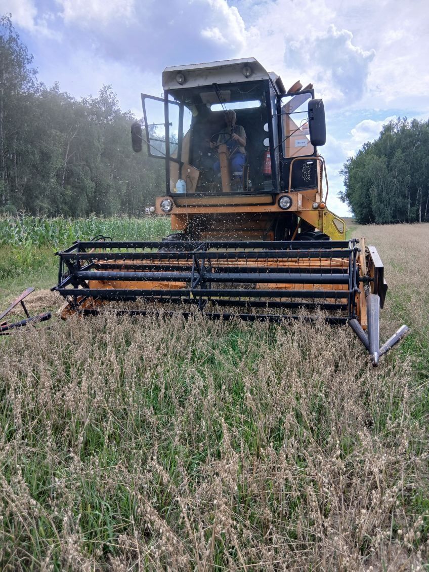 Kombajn Bizon Rekord 1987 rok Silnik turbo Zadbany!