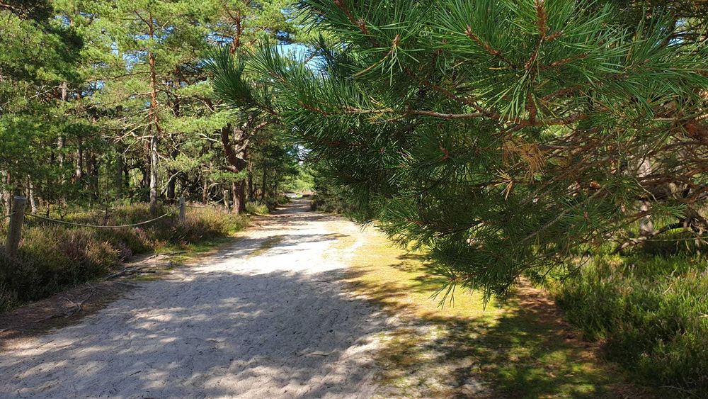 Nowy, niezależnie ogrodzony 5os.domek nad morzem,wi-fi,parking WOLNY