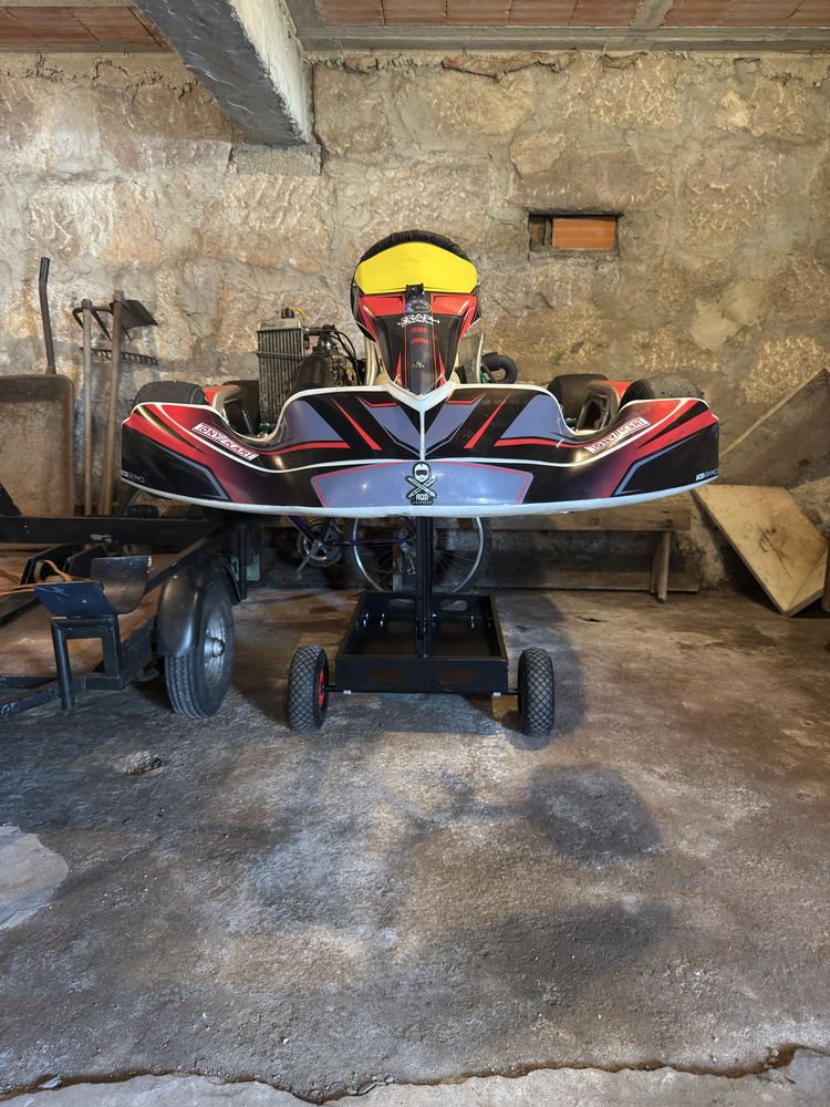 Karting Rotax Senior Max C/ Chassi Tony Kart + Muitas Extras