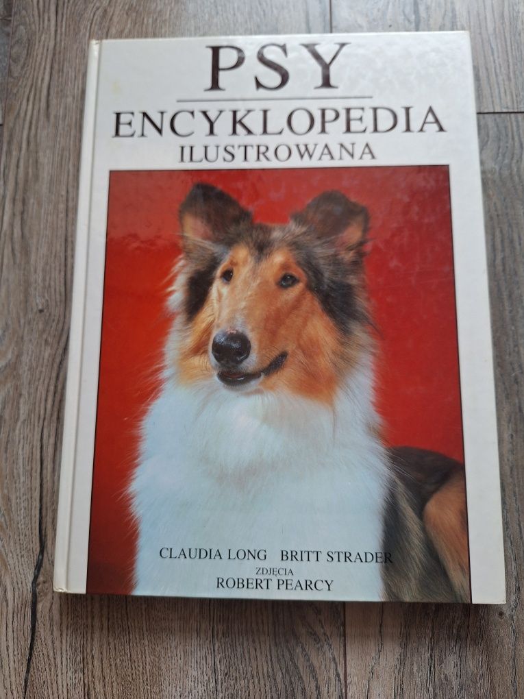 PSY encyklopedia ilustrowana