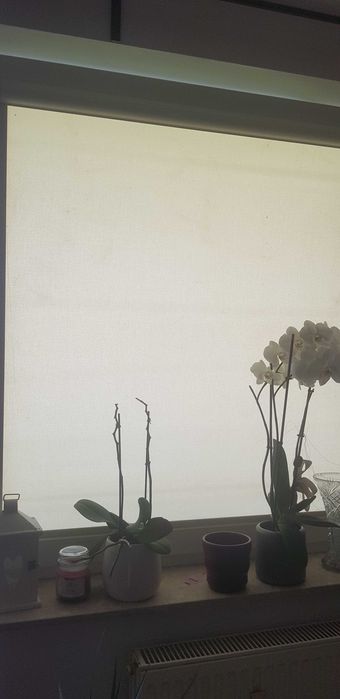 roleta na okno 128cm x 130cm na działkę altankę do magazynu