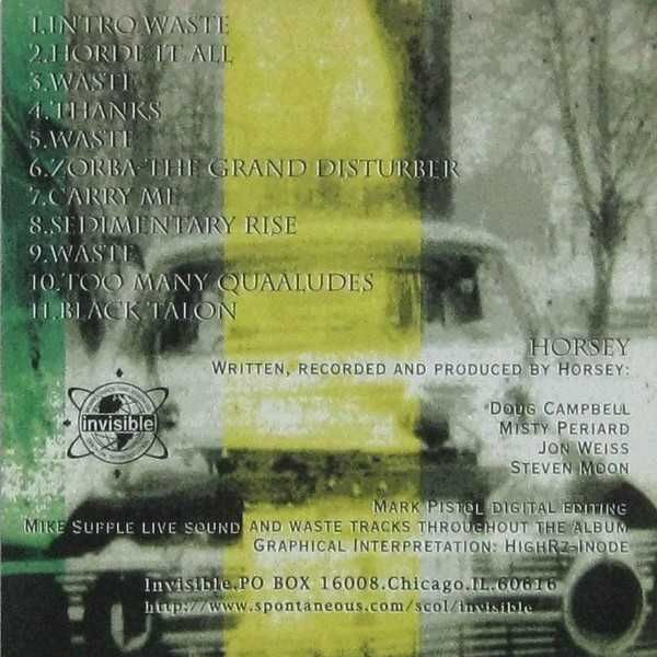 Horsey CD Swarm       noise post punk z USA     ideał