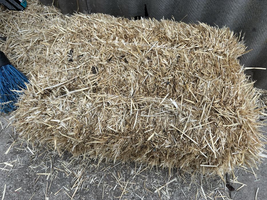 Солома в тюках,ячневая и пшеничная