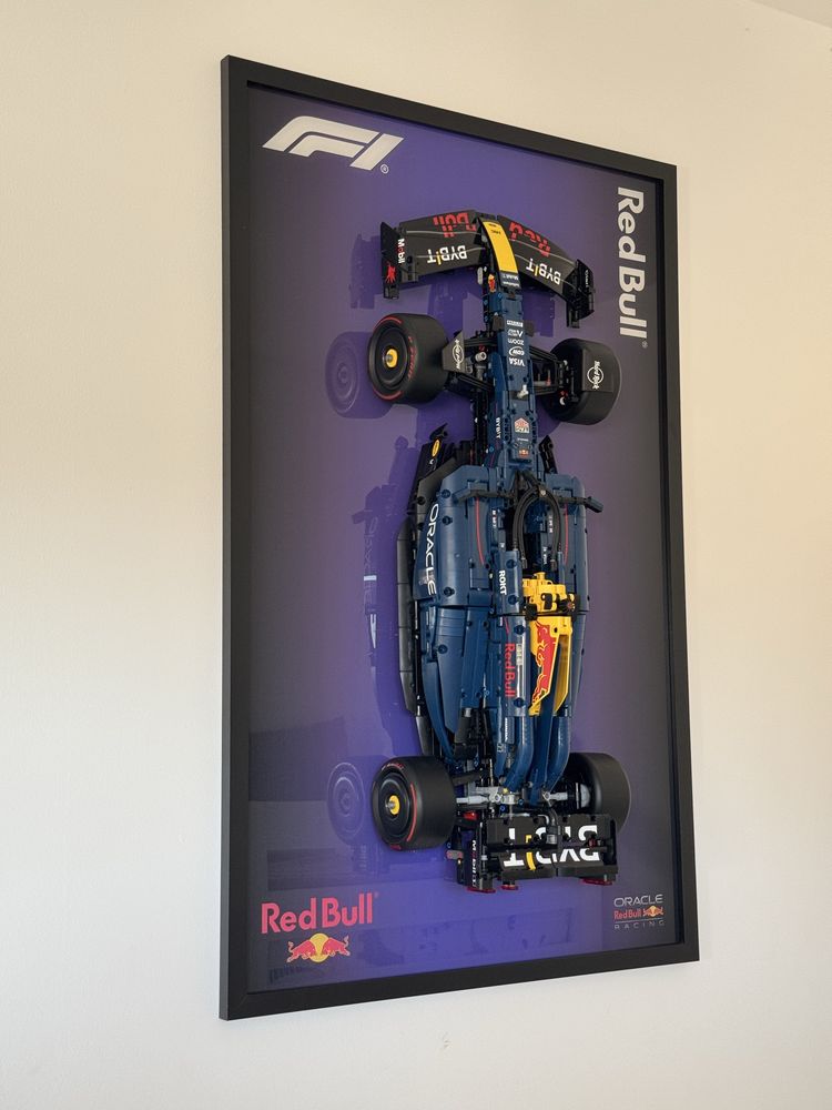 Quadro Display LEGO Technic Oracle Red Bull Racing RB20 F1 Car (42206)