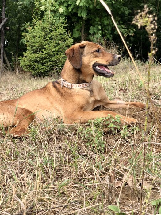 Szukamy dla Wasu najlepszego domu