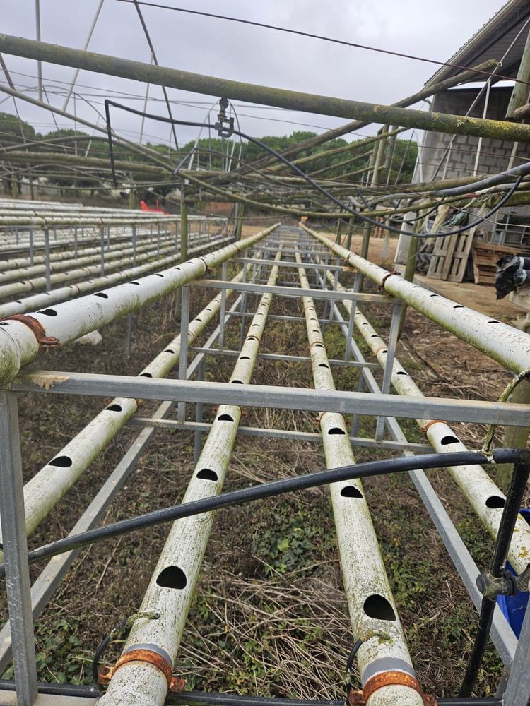 Estufas com sistema hidroponia
