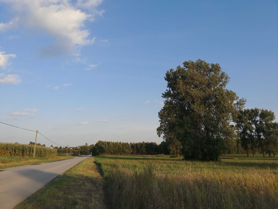 Działka budowlana 4500 m2 Pomorzany gmina Wierzbica 20 km od Radomia