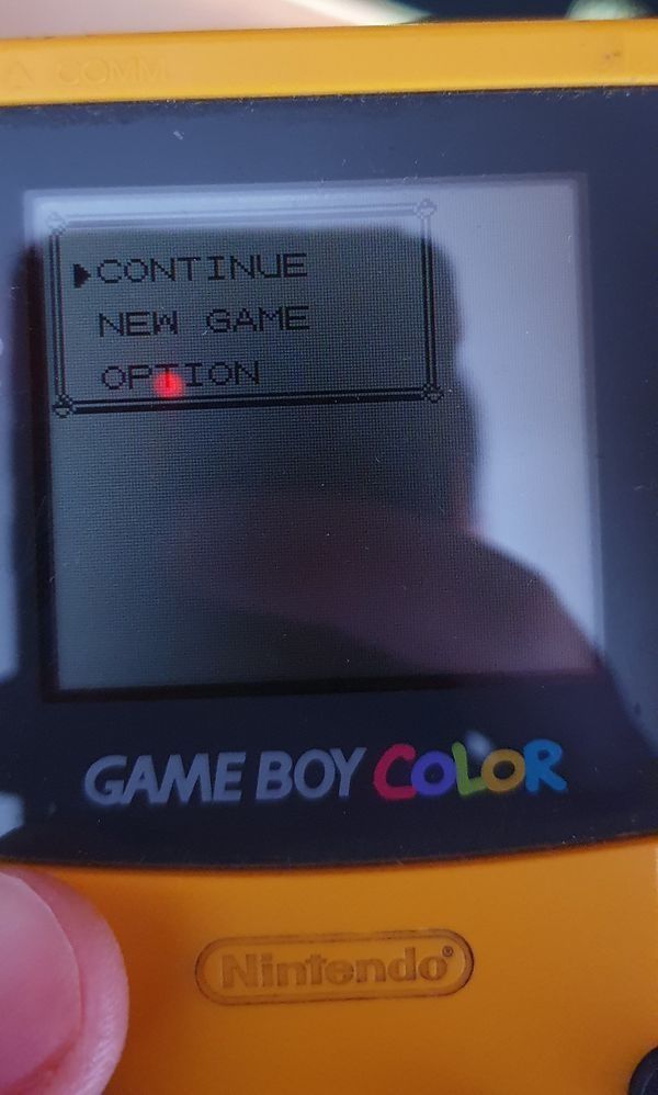 Pokémon Green - GameBoy + Capa transparente