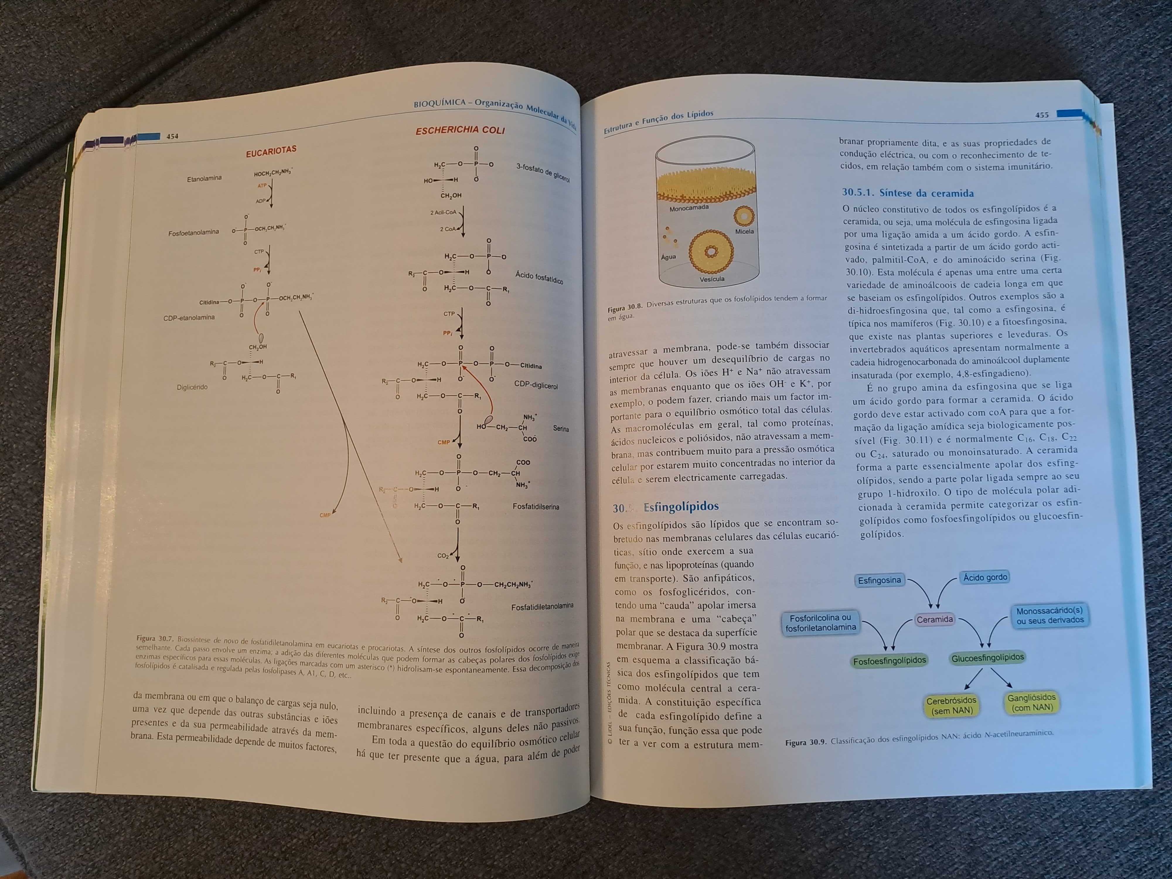Livro "Bioquímica - Organização Molecular da Vida"