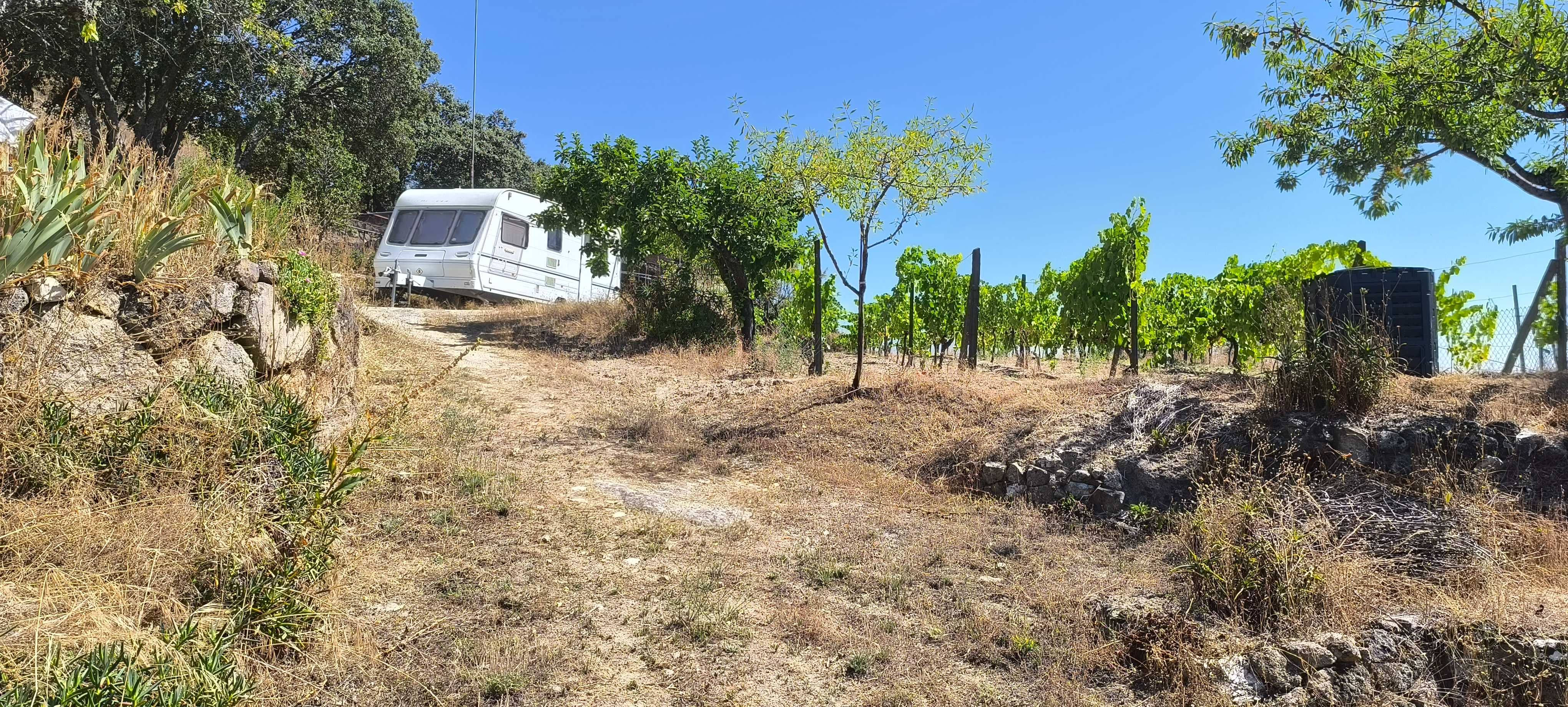 Quintinha no Douro