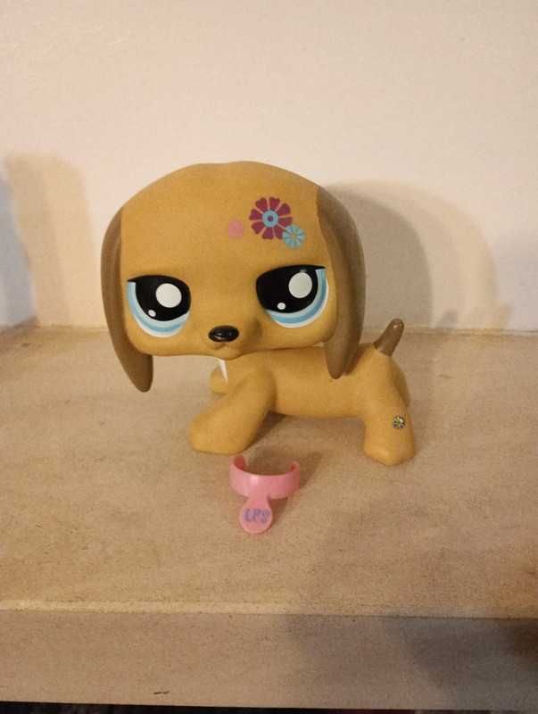 Littlest pet shop