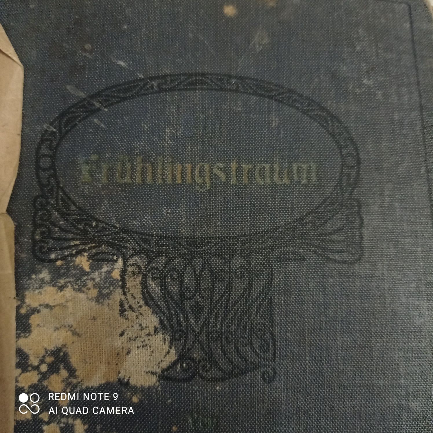 Старая немецкая книга