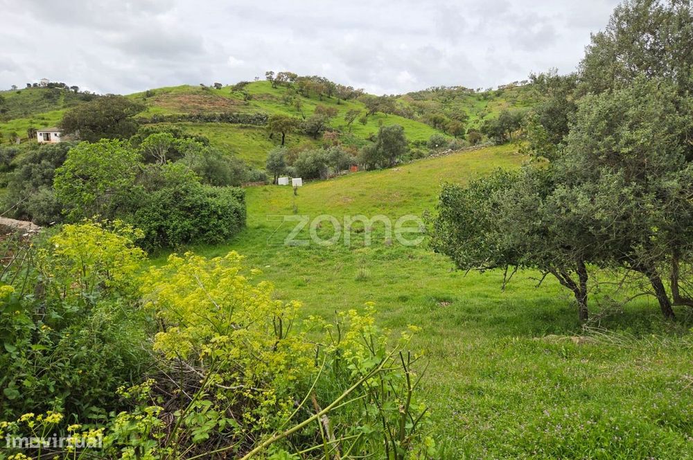 Terreno Rústico - Cultura Arvense