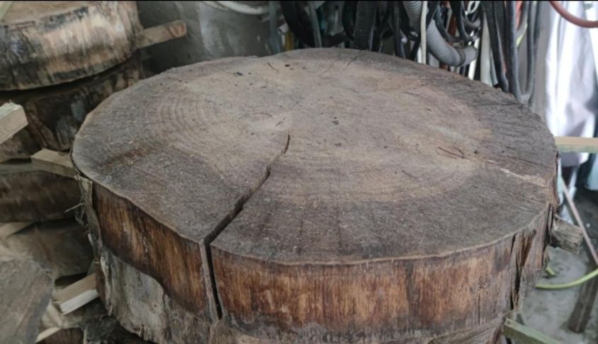 Plastry z drewna topoli – piękne, grube, unikatowe!