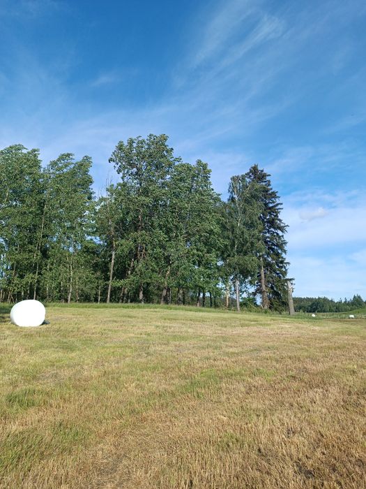 16ha, Działka rolna Wydminy