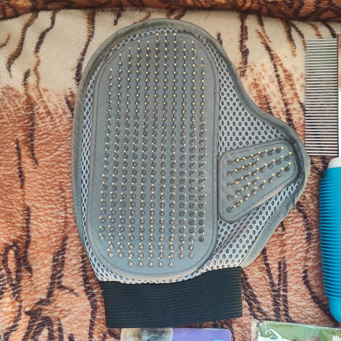 Поводок кусачки для нігтів щітка гребінь для собою кішок