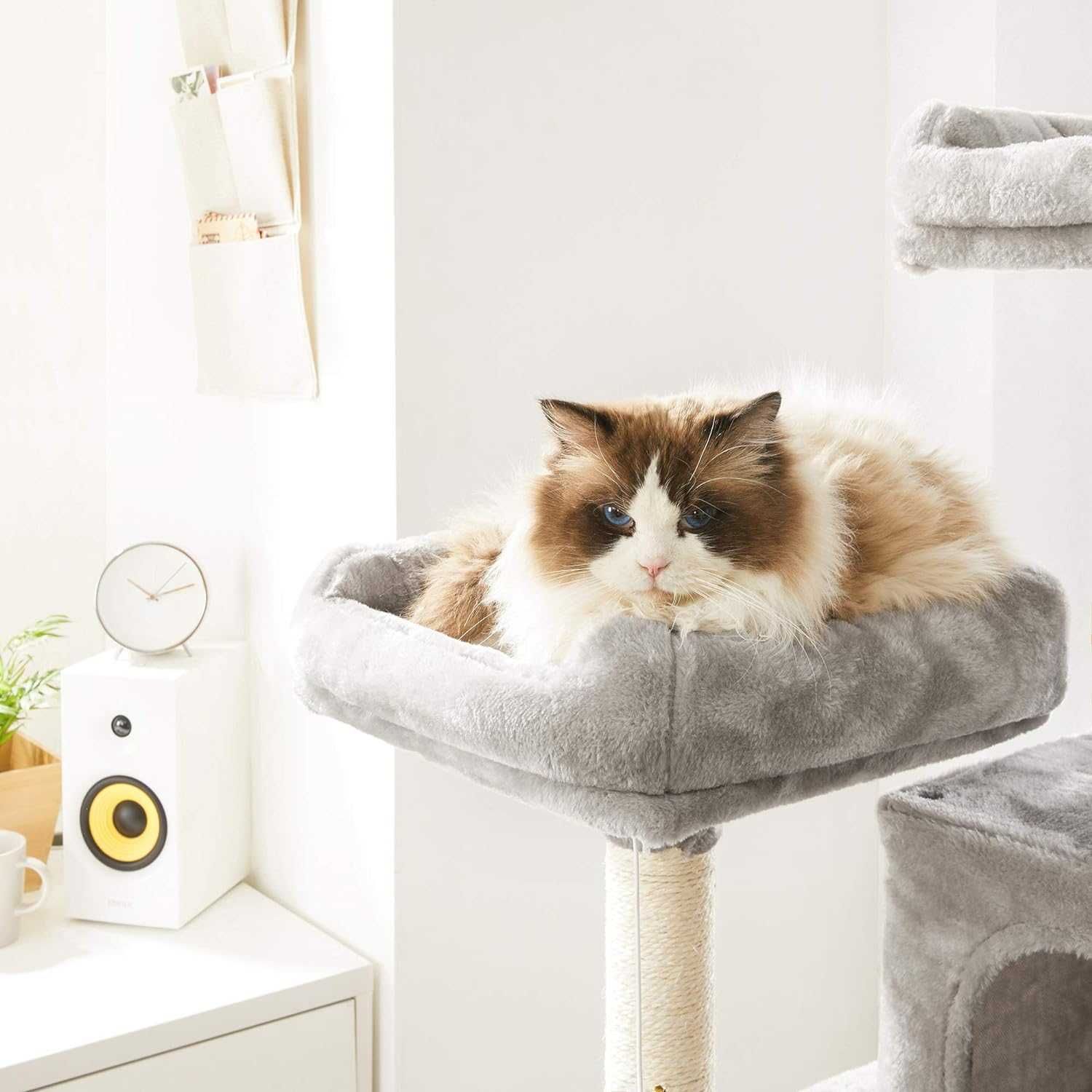 ENVIO GRÁTIS - Árvore para gatos, arranhador de gatos 150cm