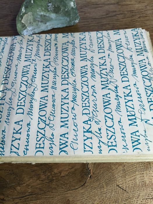 Książka dla dzieci Deszczowa muzyka ⁵⁸