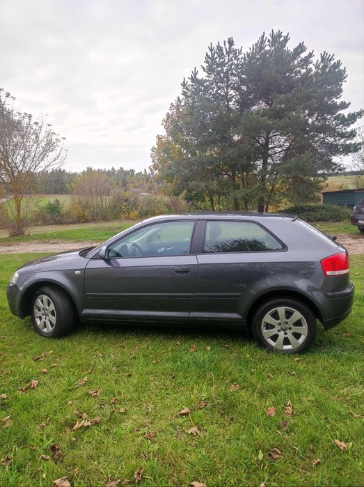 Audi a3 8p 1.6 MPI Benzyna 2003rok !