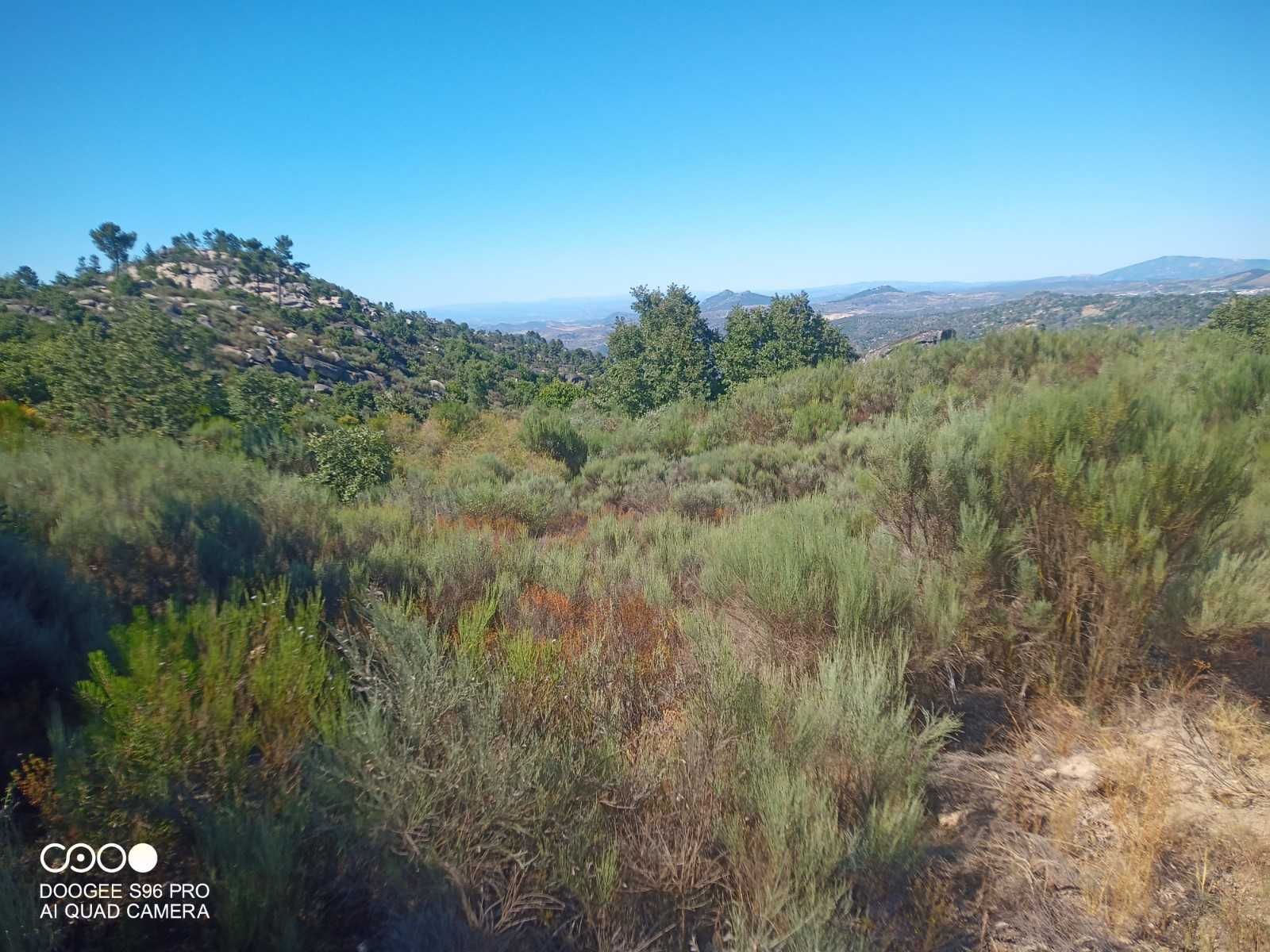 Terrenos rústicos Mogo de Malta / Carrazeda de Ansiães