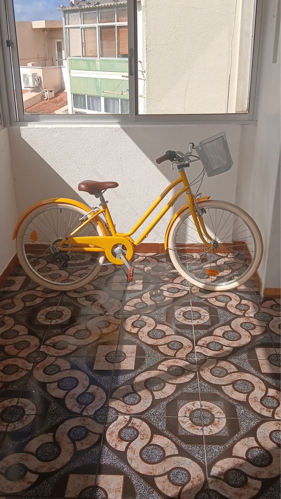 Bicicleta aro 24